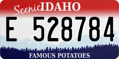 ID license plate E528784