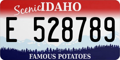 ID license plate E528789