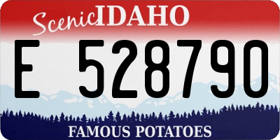 ID license plate E528790