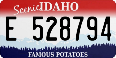 ID license plate E528794