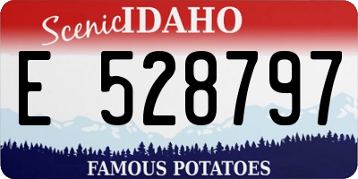ID license plate E528797