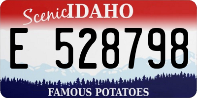 ID license plate E528798