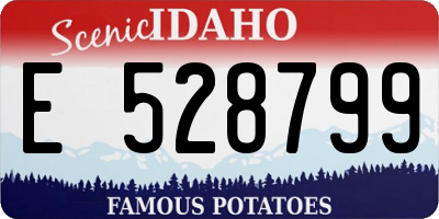 ID license plate E528799