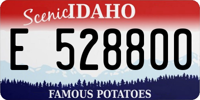 ID license plate E528800