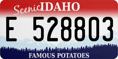 ID license plate E528803