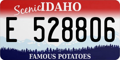 ID license plate E528806