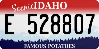ID license plate E528807