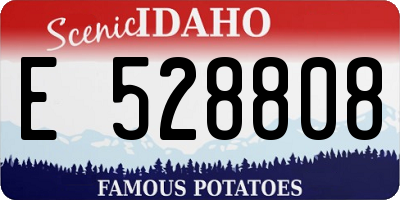 ID license plate E528808