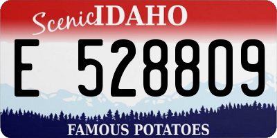 ID license plate E528809
