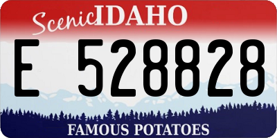 ID license plate E528828