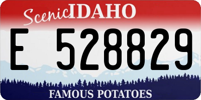 ID license plate E528829