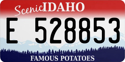 ID license plate E528853