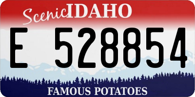 ID license plate E528854