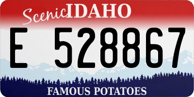 ID license plate E528867