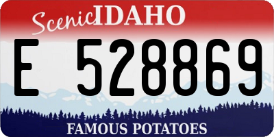 ID license plate E528869