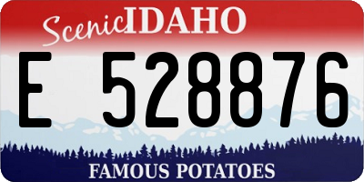 ID license plate E528876