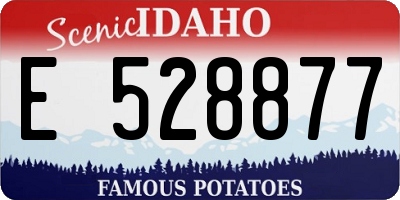 ID license plate E528877