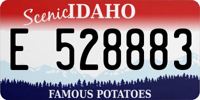 ID license plate E528883