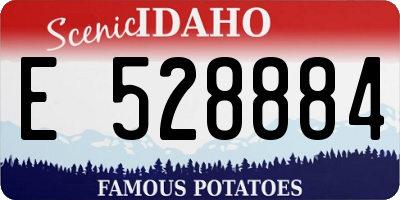 ID license plate E528884