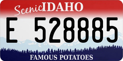 ID license plate E528885