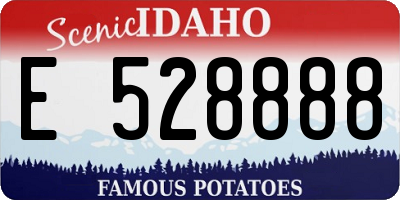 ID license plate E528888