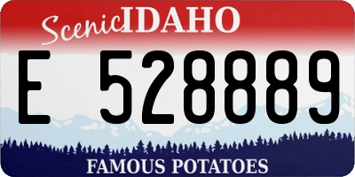 ID license plate E528889