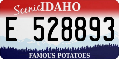 ID license plate E528893