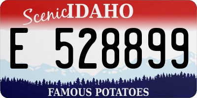 ID license plate E528899