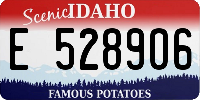 ID license plate E528906