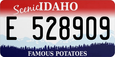 ID license plate E528909
