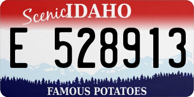ID license plate E528913