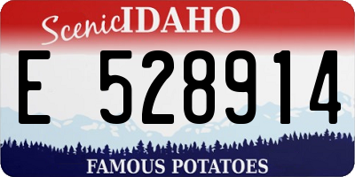 ID license plate E528914