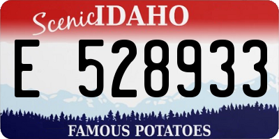 ID license plate E528933