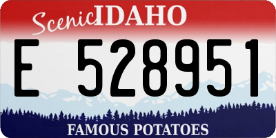 ID license plate E528951