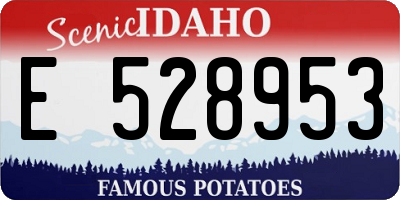 ID license plate E528953
