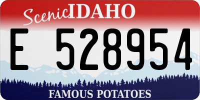ID license plate E528954
