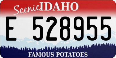 ID license plate E528955