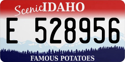ID license plate E528956