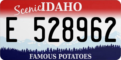 ID license plate E528962