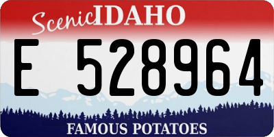 ID license plate E528964