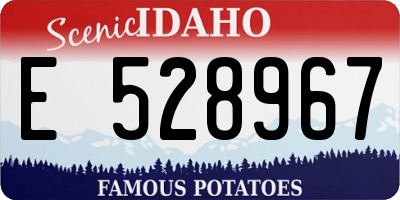 ID license plate E528967