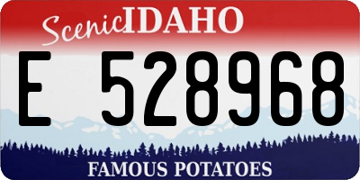ID license plate E528968