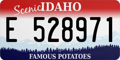 ID license plate E528971