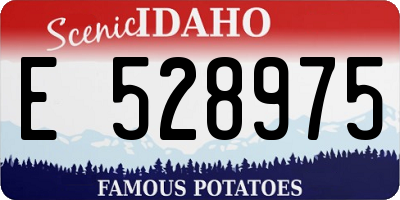 ID license plate E528975