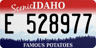 ID license plate E528977