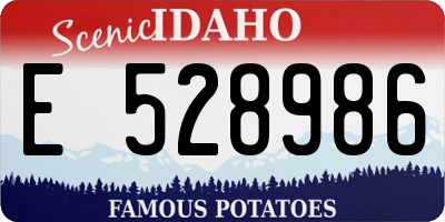ID license plate E528986