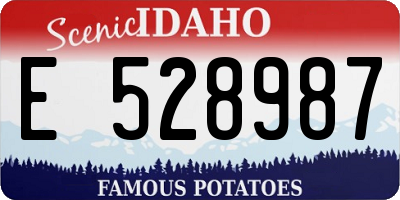 ID license plate E528987