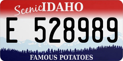 ID license plate E528989