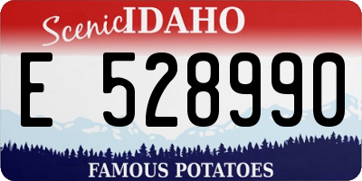 ID license plate E528990