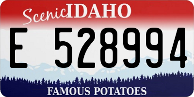 ID license plate E528994